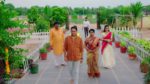 Naag Bhairavi 23rd May 2025 Episode 90 Watch Online