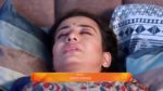 Navri Mile Hitlerla 13th May 2025 Episode 387 Watch Online