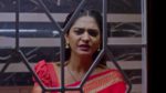 Nindu Noorella Saavasam 3rd May 2025 Episode 560 Watch Online