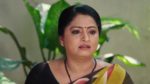 Paape Maa Jeevana Jyothi 15th May 2025 Hymavathi Commends Kutti Episode 1256