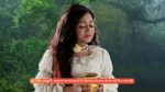Parul (Zee tv) 30th May 2025 Episode 83 Watch Online