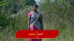 Renuka Yellamma (Star Maa) 27th May 2025 Bhavani Persuades Neelakantam Episode 640