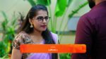 Seethe Ramudi Katnam 10th May 2025 Episode 502 Watch Online