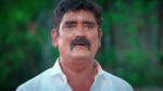 Anna (Tamil) 22nd June 2025 Episode 712 Watch Online