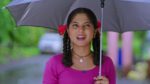 Paaru (Zee Marathi) 26th June 2025 Episode 476 Watch Online