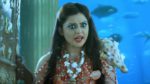 Parul (Zee tv) 17th June 2025 Episode 113 Watch Online