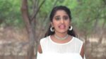 Shubh Mangal Savdhan (Zee5) 24th June 2025 Episode 25