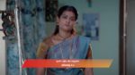 Veera (Zee Tamil) 24th June 2025 Episode 363 Watch Online