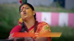 Veera (Zee Tamil) 25th June 2025 Episode 364 Watch Online
