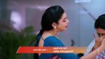 Gattimelam 30th July 2025 Episode 141 Watch Online