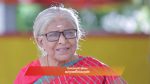 Idhayam 26th July 2025 Episode 747 Watch Online