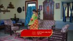 Intinti Ramayanam (Star Maa) 5th July 2025 Akshay Reassures Parvati Episode 336