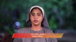Maari 31st July 2025 Episode 993 Watch Online