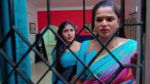 Nindu Noorella Saavasam 1st July 2025 Episode 608 Watch Online