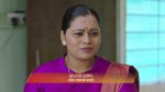 Paaru (Zee Marathi) 2nd July 2025 Episode 481 Watch Online