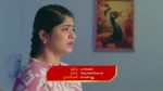 Paluke Bangaramayana 1st July 2025 Krishna Comforts Kaveri Episode 578