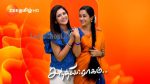 Sandhya Raagam (Tamil) 25th July 2025 Episode 592 Watch Online