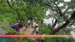Vasudha (Zee Tv) 28th July 2025 Episode 278 Watch Online