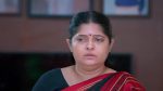 Veera (Zee Tamil) 10th July 2025 Episode 377 Watch Online