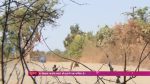 Balika Vadhu 16th December 2015 Sarita gets injured while saving Shivam Episode 2073