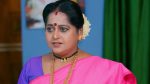 Annapoorna 29th August 2025 Episode 958 Watch Online