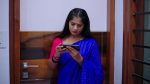 Gattimelam 17th August 2025 Episode 159 Watch Online