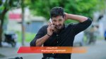 Gattimelam 20th August 2025 Episode 165 Watch Online