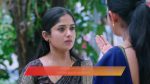 Gattimelam 29th August 2025 Episode 172 Watch Online