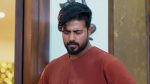 Meghasandesam (Zee Telugu) 12th August 2025 Episode 386