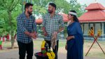 Paape Maa Jeevana Jyothi 21st August 2025 Alekhya Clashes with Gangu Episode 1340