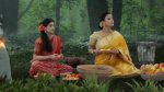 Parul (Zee tv) 2nd August 2025 Episode 188 Watch Online