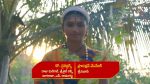 Renuka Yellamma (Star Maa) 6th August 2025 Renuka Gives a Clarity Episode 690
