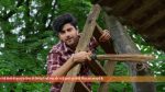 Vasudha (Zee Tv) 20th August 2025 Episode 300 Watch Online