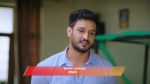 Gattimelam 25th August 2025 Episode 169 Watch Online