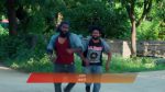 Ammayi Garu 16th September 2025 Episode 875 Watch Online