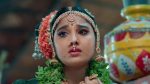 Chamanthi (Zee Telugu) 3rd September 2025 Episode 215