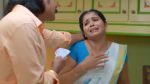 Chinnan Siru Kiliye 24th September 2025 Episode 47 Watch Online