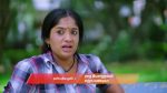 Gattimelam 11th September 2025 Episode 183 Watch Online