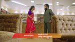 Gattimelam 12th September 2025 Episode 184 Watch Online