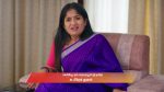 Gattimelam 30th September 2025 Episode 203 Watch Online