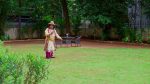 Nindu Noorella Saavasam 1st September 2025 Episode 661