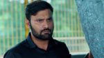 Ammayi Garu 31st October 2025 Episode 908 Watch Online