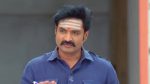 Anna (Tamil) 14th October 2025 Episode 797 Watch Online