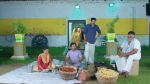 Anna (Tamil) 15th October 2025 Episode 798 Watch Online