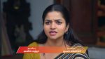 Anna (Tamil) 28th October 2025 Episode 806 Watch Online