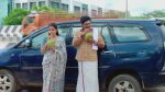 Anna (Tamil) 31st October 2025 Episode 809 Watch Online