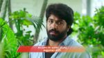 Chinnan Siru Kiliye 29th October 2025 Episode 69 Watch Online