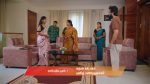 Gattimelam 3rd October 2025 Episode 204 Watch Online