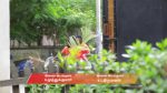 Idhayam 11th October 2025 Episode 809 Watch Online