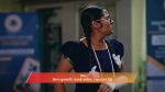 Kamali (Zee Marathi) 18th October 2025 Episode 100 Watch Online